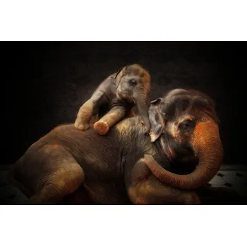 Plakát Plakát, Obraz - LOVING BOND, Antje Wenner-Braun