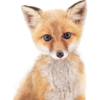 Plakát Plakát, Obraz - Fox 1, Sisi & Seb