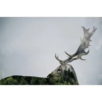 Plakát Plakát, Obraz - Antler Double-exposed, Angyalosi Bea