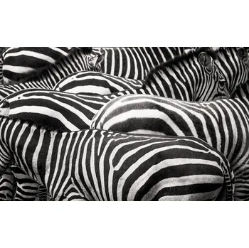 Plakát Plakát, Obraz - Together, Roelof de Hoog