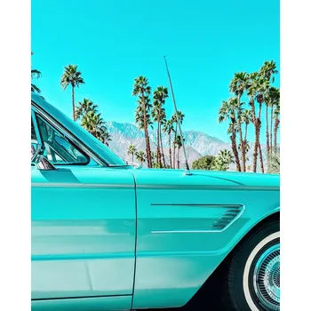 Plakát Plakát, Obraz - Teal Thunderbird in Palm Springs, Tom Windeknecht
