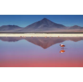 Plakát Plakát, Obraz - Pink Morning, Margarita Chernilova