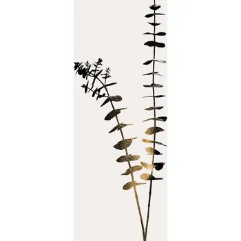 Plakát Plakát, Obraz - Eucalyptus, Kubistika