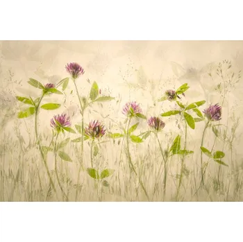 Plakát Plakát, Obraz - Old luky, Nel Talen