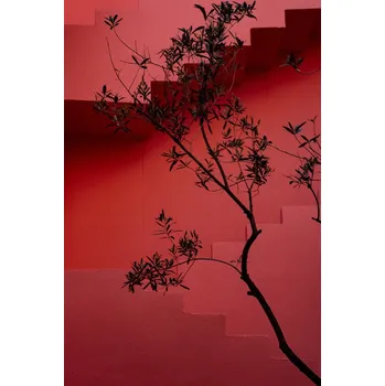 Plakát Plakát, Obraz - Muralla Roja #14, Linda Wride