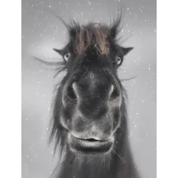 Plakát Plakát, Obraz - Hey, Larry Deng