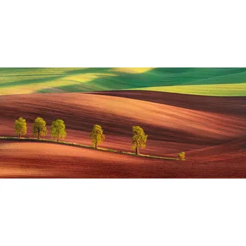 Plakát Plakát, Obraz - Odyssey of an Avenue II, Jan Smid Master