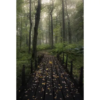 Plakát Plakát, Obraz - Misty morning, Christian Lindsten