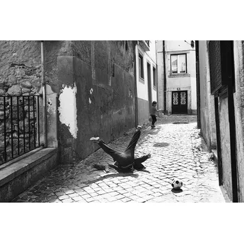 Plakát Plakát, Obraz - Football, Rui Caria