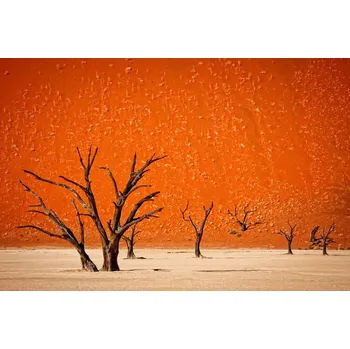 Plakát Plakát, Obraz - The older, Mathilde Guillemot