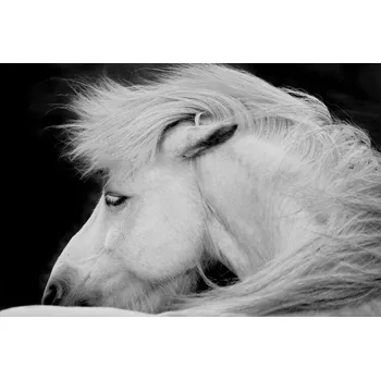 Plakát Plakát, Obraz - Listen to the Wind, John Fan