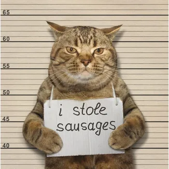 Plakát Plakát, Obraz - Crime and Punishment...., Iryna Kuznetsova (Iridi)