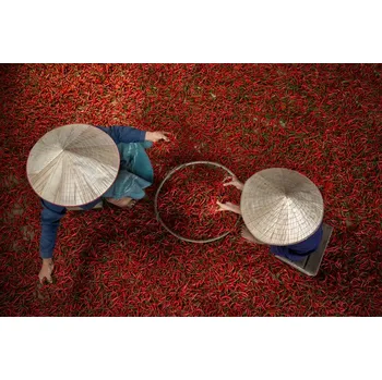 Plakát Plakát, Obraz - Chilli, sarawut intarob