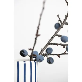 Plakát Plakát, Obraz - Berries Blue, Studio Collection