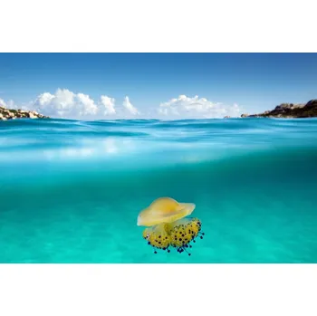 Plakát Plakát, Obraz - The Dangerous Encounter, Roberto Sysa Moiola