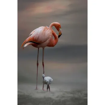 Plakát Plakát, Obraz - Tender Moments, Krystina Wisniowska