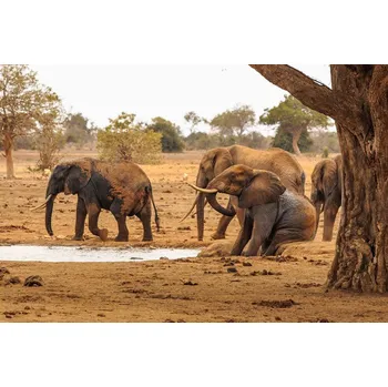 Plakát Plakát, Obraz - Refreshing, Massimo Mei