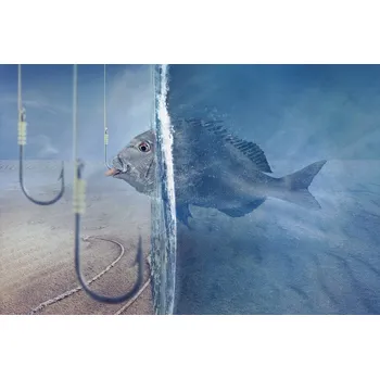 Plakát Plakát, Obraz - Time to eat at outside, sulaiman almawash