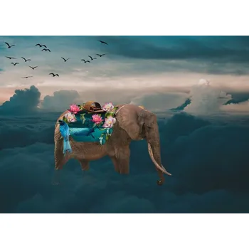 Plakát Plakát, Obraz - Sea elephant, Salome Zhividze