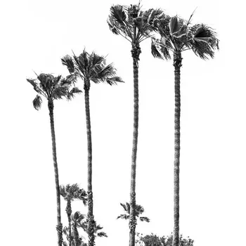 Plakát Plakát, Obraz - Palm Trees at the beach, Melanie Viola