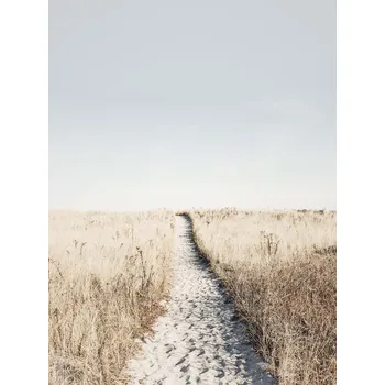 Plakát Plakát, Obraz - Beach Patway, Sisi & Seb