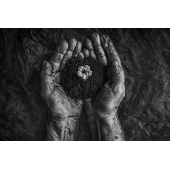 Plakát Plakát, Obraz - A New Life, Stephen Clough