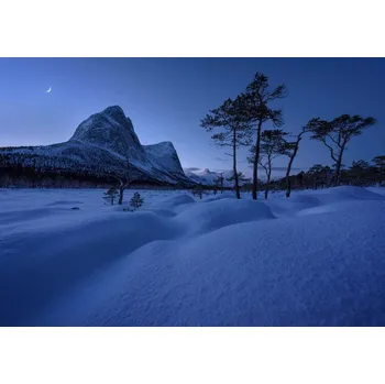 Plakát Plakát, Obraz - Blue, Ted Andre Nilsen