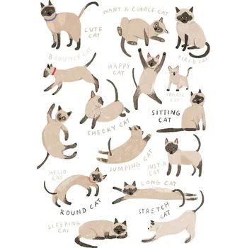 Plakát Plakát, Obraz - Siamese Cat Print, Hanna Melin
