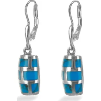 Náušnice Argento 63293 Stříbrné náušnice