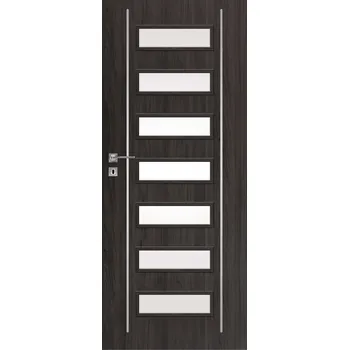 Interiérové dveře Interiérové dveře - DRE Galeria Alu 12 - 1000dveri.cz