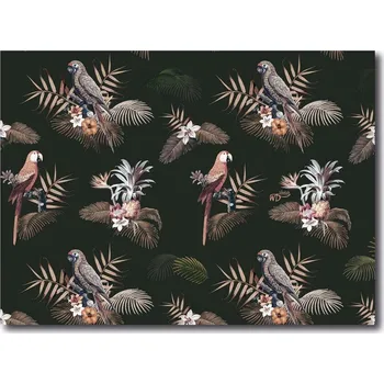 prostírání Plastové prostírání Parrots 45x30