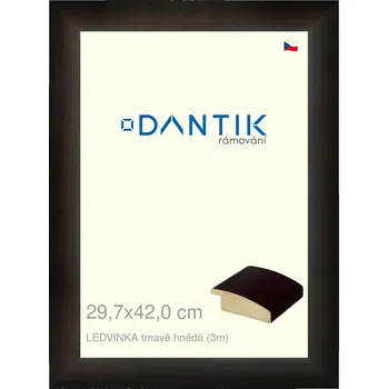 Rám na obraz DANTIK rámeček 29,7x42 | LEDVINKA tmavě hnědá (Plexi Čiré) (Vyrobeno s láskou u nás v DANTIKU)