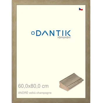 Rám na obraz DANTIK rámeček 60x80 | ANDRÉ velká champagne (Plexi Čiré) (Vyrobeno s láskou u nás v DANTIKU)