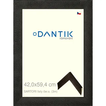 Rám na obraz DANTIK rámeček 42x59,4 | SARTORI listy čer.s. (Plexi Čiré) (Vyrobeno s láskou u nás v DANTIKU)