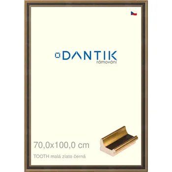 Rám na obraz DANTIK rámeček 70x100 | TOOTH malá zlato černá (Plexi Čiré) (Vyrobeno s láskou u nás v DANTIKU)