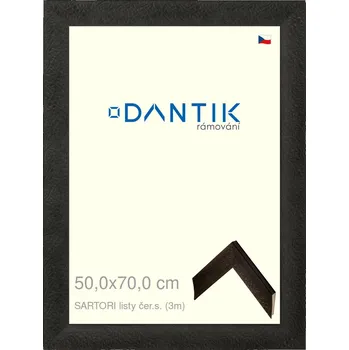 Rám na obraz DANTIK rámeček 50x70 | SARTORI listy čer.s. (Plexi Čiré) (Vyrobeno s láskou u nás v DANTIKU)