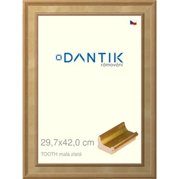 Rám na obraz DANTIK rámeček 29,7x42 | TOOTH malá zlatá (Plexi Čiré) (Vyrobeno s láskou u nás v DANTIKU)