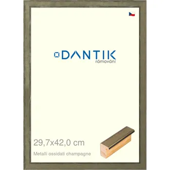 Rám na obraz DANTIK rámeček 29,7x42 | Metalli oidati champagne (Plexi Čiré) (Vyrobeno s láskou u nás v DANTIKU)