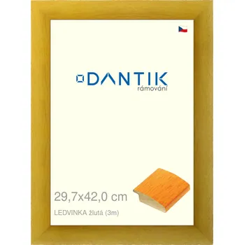 Rám na obraz DANTIK rámeček 29,7x42 | LEDVINKA žlutá (Plexi Čiré) (Vyrobeno s láskou u nás v DANTIKU)