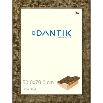 Rám na obraz DANTIK rámeček 50x70 | Dora Gold (Plexi Čiré) (Vyrobeno s láskou u nás v DANTIKU)