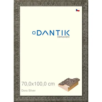 Rám na obraz DANTIK rámeček 70x100 | Dora Silver (Plexi Čiré) (Vyrobeno s láskou u nás v DANTIKU)