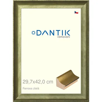 Rám na obraz DANTIK rámeček 29,7x42 | Ferrosa zlatá (Plexi Čiré) (Vyrobeno s láskou u nás v DANTIKU)