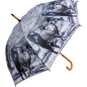 Deštník - divočák