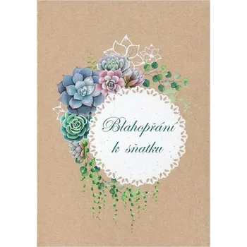 Přání k svatbě CTS13, kraft