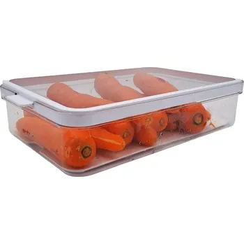 Úložný box Rotho Organizér do lednice, s víkem a speciální podložkou 2,6l CAUMA