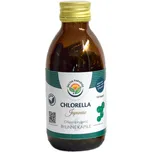 Salvia Paradise Chlorella - Japanese…