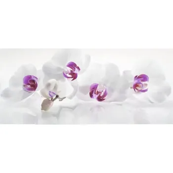 Obkladový panel do kuchyně mySpotti Profix Orchidej 100 x 60 cm PX-10060-61-HB