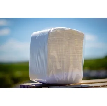 Papírový ubrousek 0362803001002 MAX ubrousky 1vr, 30X30cm 500ks