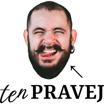 Party dekorace Rozlučkové tetovačky č.16 (12 ks) - ten PRAVEJ