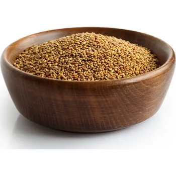 Alfalfa semínka Bio 500 g VIA NATURAE